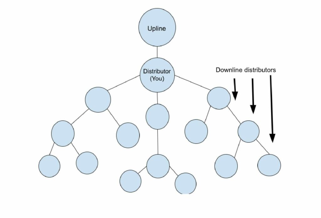 Network marketing tree